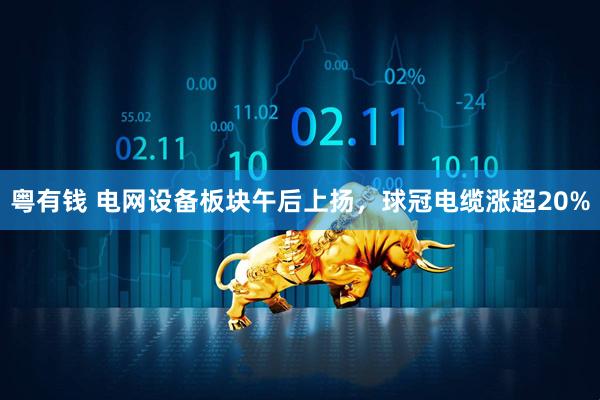 粤有钱 电网设备板块午后上扬，球冠电缆涨超20%