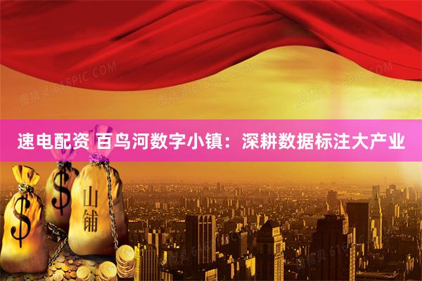 速电配资 百鸟河数字小镇：深耕数据标注大产业