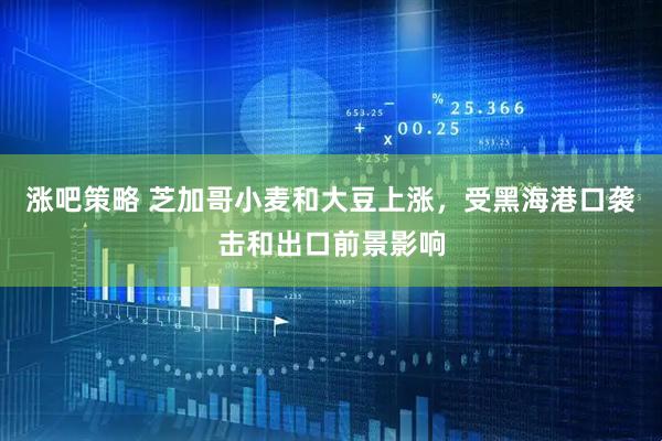 涨吧策略 芝加哥小麦和大豆上涨，受黑海港口袭击和出口前景影响